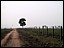 site2.jpg