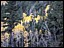 aspen1.jpg