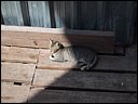 img_1939.jpg