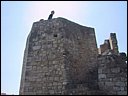 img_1942.jpg