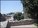img_1944.jpg