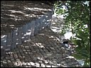 img_1946.jpg