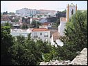 img_1950.jpg