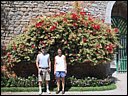 img_1955.jpg