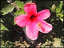 img_1966.jpg