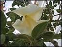 img_1973.jpg