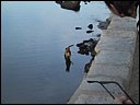 img_1987.jpg