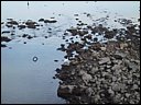 img_1991.jpg