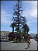 img_2031.jpg