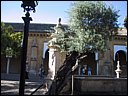 img_2084.jpg