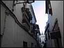 img_2091.jpg
