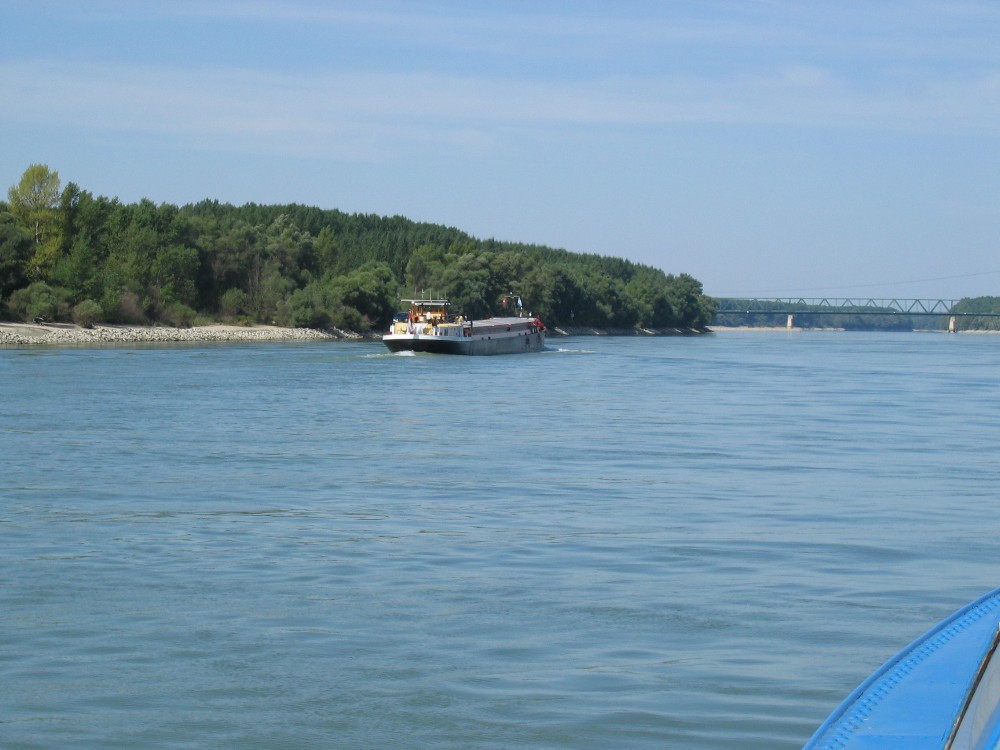 img_2927.jpg