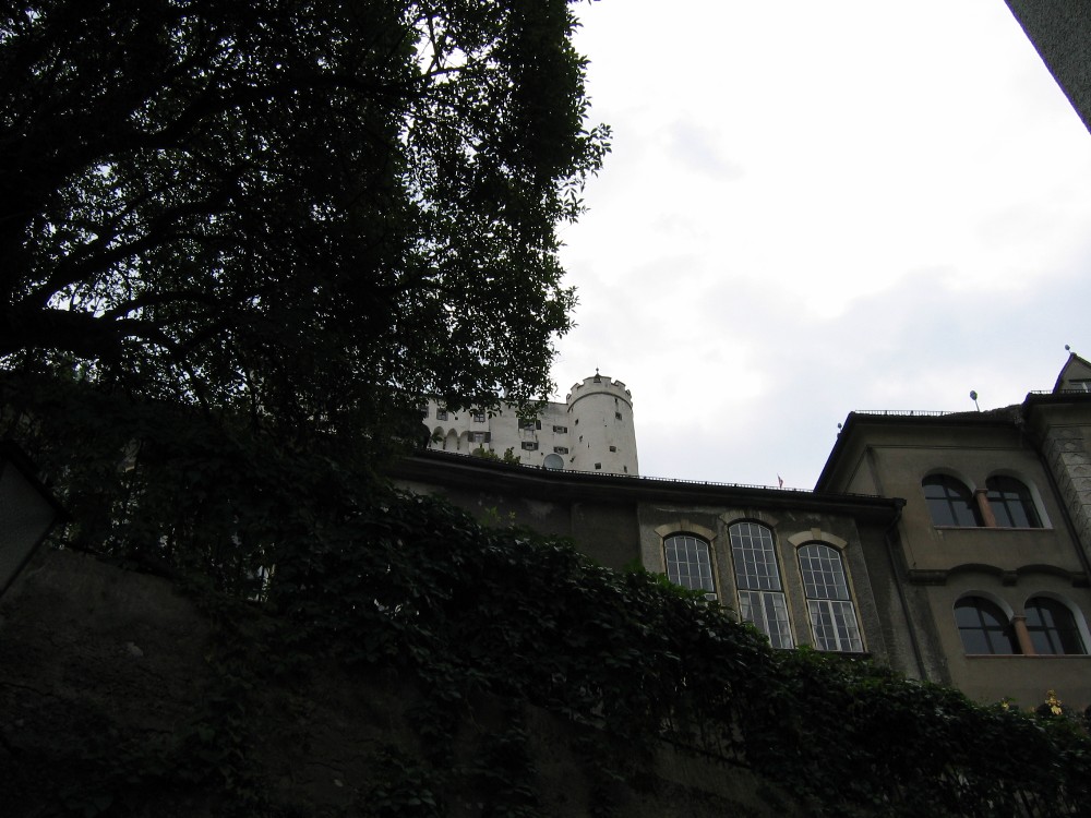 img_2994.jpg
