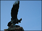img_2808.jpg