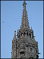 img_2822.jpg