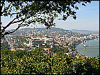 img_2849.jpg