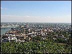 img_2856.jpg