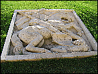 img_2869.jpg