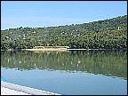 img_2916.jpg