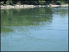 img_2928.jpg